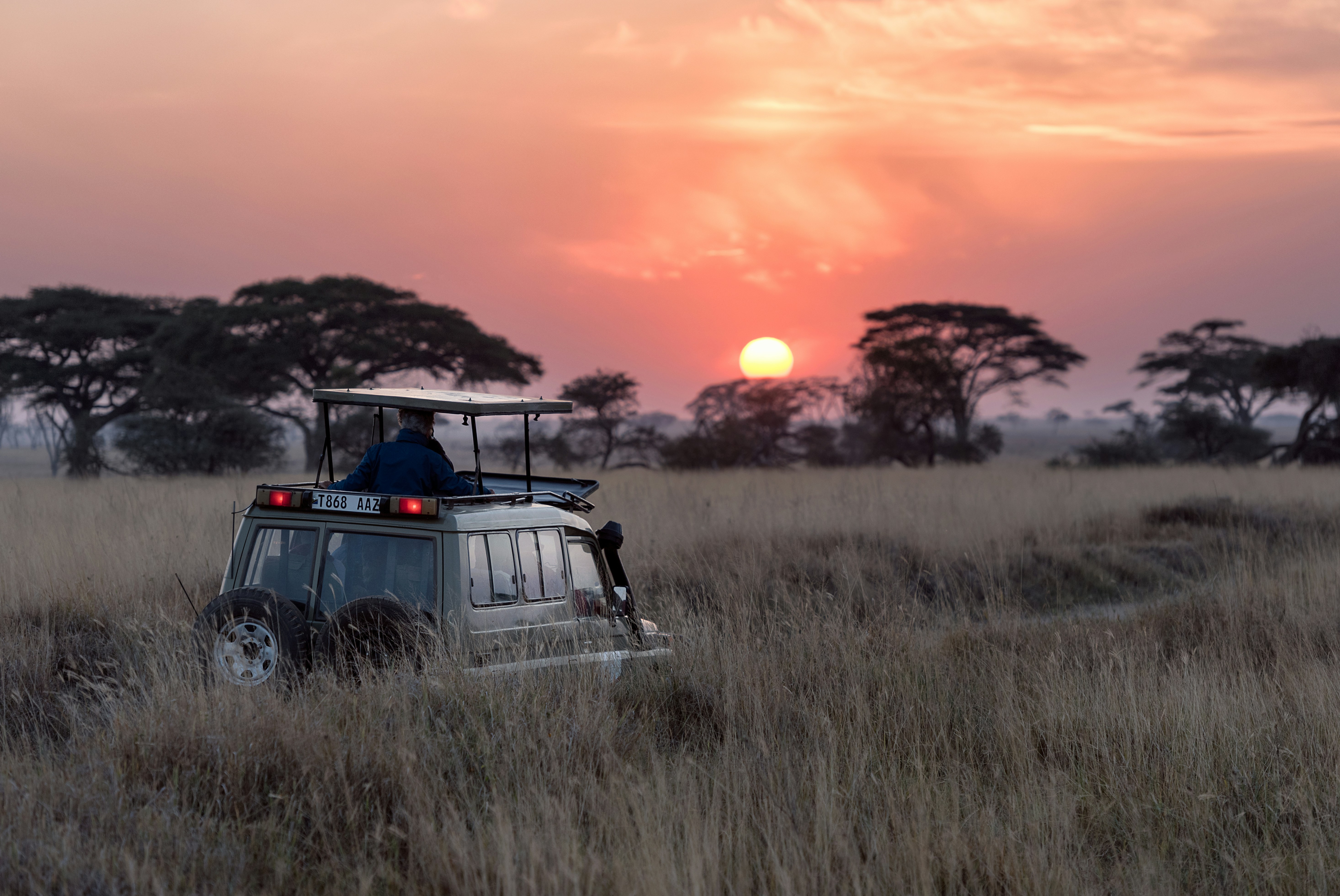 Top Sustainable Safari Destinations With Extraordinary Wildlife Experiences